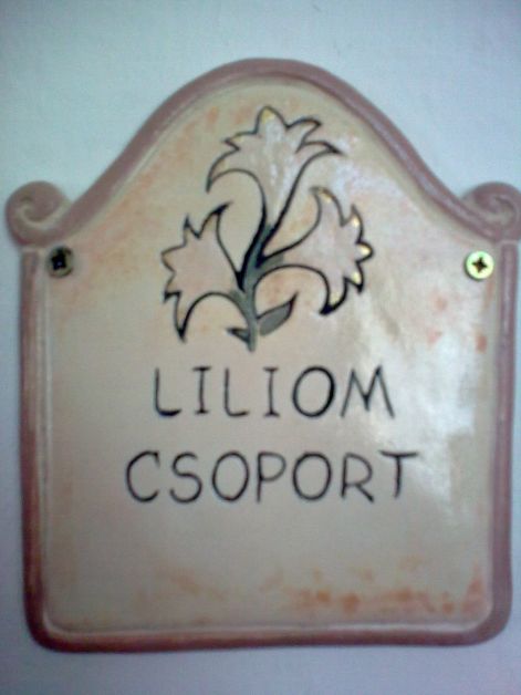 2010-03-26_ovi_003.jpg
